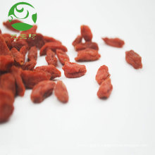 Échantillon gratuit en gros baies de goji en vrac 100% baies de goji séchées biologiques naturelles